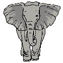 elefant3.gif (3374 bytes)